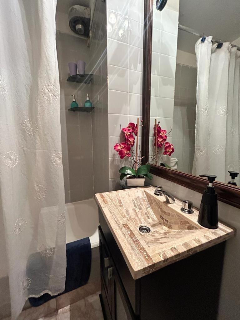 Recoleta, Cerca De Todo , Amplio! Apartment Buenos Aires